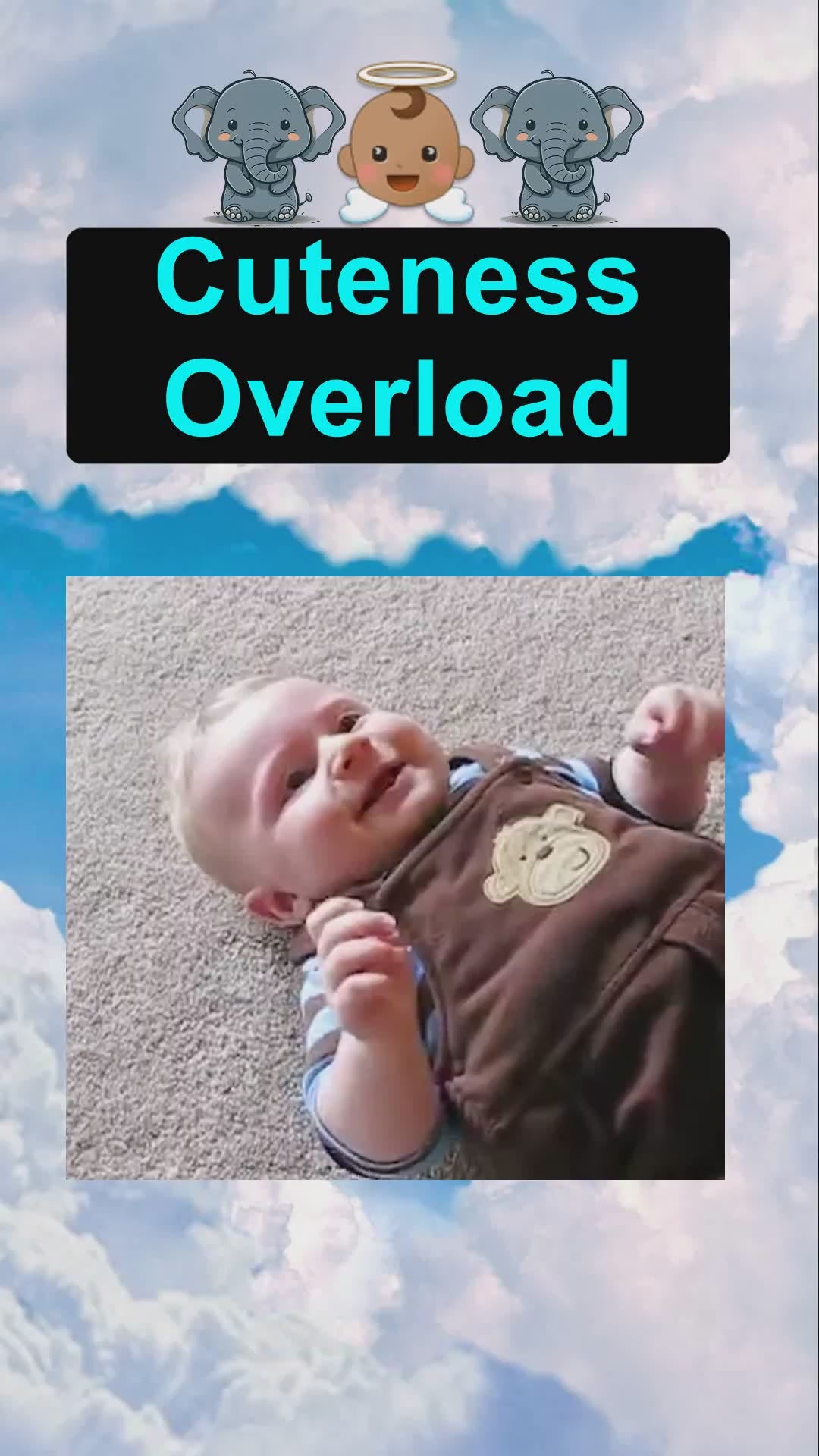 Charger la vidéo : Cuteness Overload (Surcharge de mignonnerie)